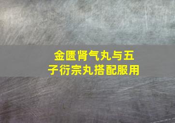 金匮肾气丸与五子衍宗丸搭配服用