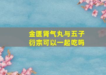 金匮肾气丸与五子衍宗可以一起吃吗