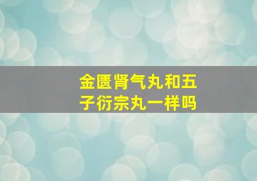 金匮肾气丸和五子衍宗丸一样吗