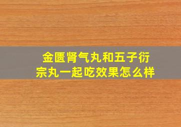 金匮肾气丸和五子衍宗丸一起吃效果怎么样