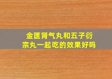 金匮肾气丸和五子衍宗丸一起吃的效果好吗