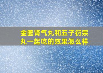 金匮肾气丸和五子衍宗丸一起吃的效果怎么样