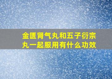 金匮肾气丸和五子衍宗丸一起服用有什么功效