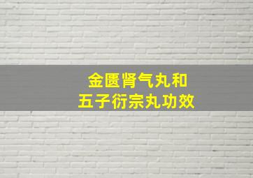 金匮肾气丸和五子衍宗丸功效