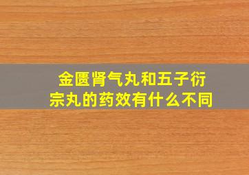 金匮肾气丸和五子衍宗丸的药效有什么不同