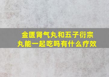 金匮肾气丸和五子衍宗丸能一起吃吗有什么疗效