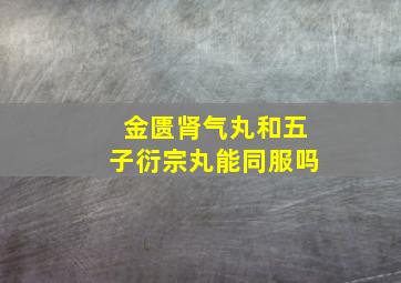 金匮肾气丸和五子衍宗丸能同服吗