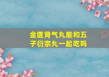 金匮肾气丸能和五子衍宗丸一起吃吗