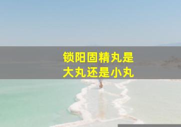 锁阳固精丸是大丸还是小丸