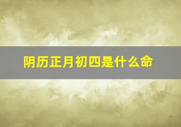 阴历正月初四是什么命