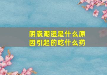 阴囊潮湿是什么原因引起的吃什么药