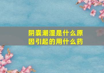 阴囊潮湿是什么原因引起的用什么药