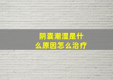 阴囊潮湿是什么原因怎么治疗