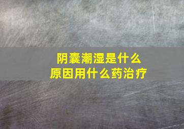 阴囊潮湿是什么原因用什么药治疗