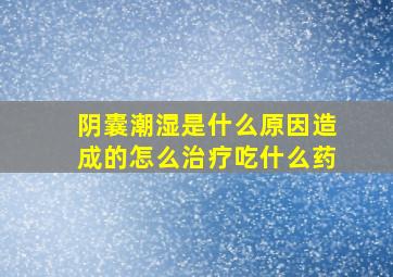 阴囊潮湿是什么原因造成的怎么治疗吃什么药