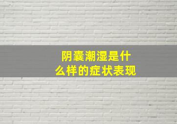 阴囊潮湿是什么样的症状表现