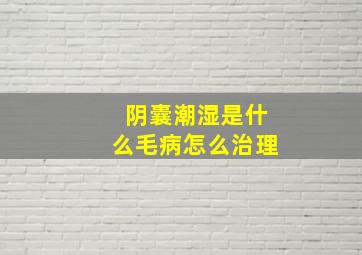 阴囊潮湿是什么毛病怎么治理