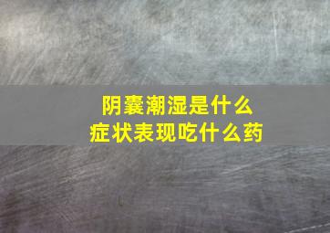 阴囊潮湿是什么症状表现吃什么药