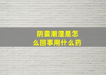 阴囊潮湿是怎么回事用什么药