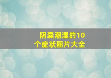 阴囊潮湿的10个症状图片大全