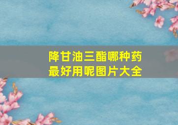 降甘油三酯哪种药最好用呢图片大全