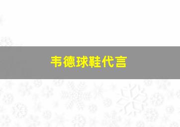 韦德球鞋代言