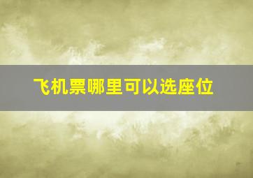 飞机票哪里可以选座位