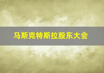 马斯克特斯拉股东大会