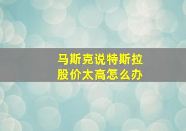 马斯克说特斯拉股价太高怎么办