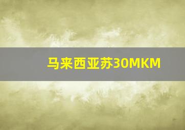 马来西亚苏30MKM