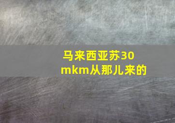 马来西亚苏30mkm从那儿来的