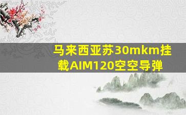 马来西亚苏30mkm挂载AIM120空空导弹