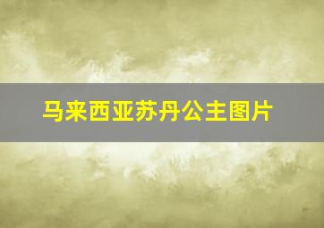 马来西亚苏丹公主图片