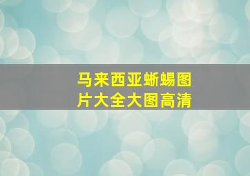 马来西亚蜥蜴图片大全大图高清