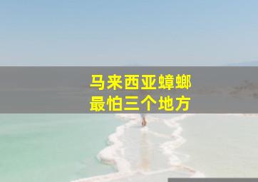 马来西亚蟑螂最怕三个地方