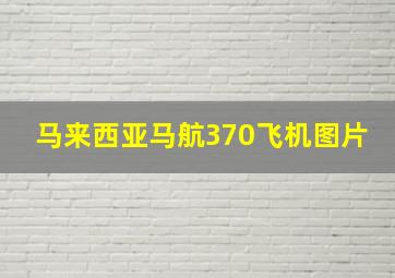 马来西亚马航370飞机图片