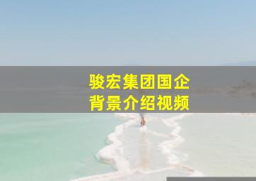 骏宏集团国企背景介绍视频