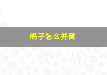 鸽子怎么并窝