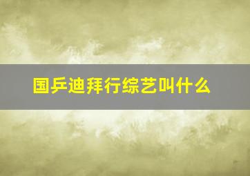 国乒迪拜行综艺叫什么