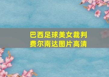 巴西足球美女裁判费尔南达图片高清