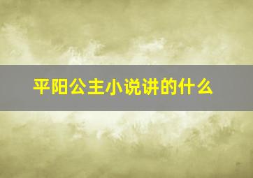 平阳公主小说讲的什么