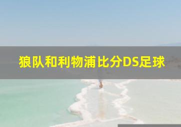 狼队和利物浦比分DS足球