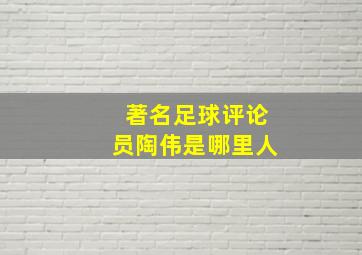 著名足球评论员陶伟是哪里人