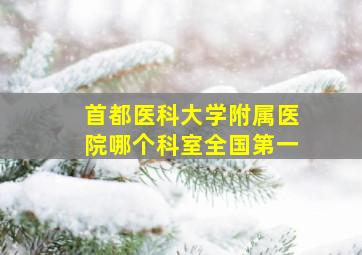 首都医科大学附属医院哪个科室全国第一