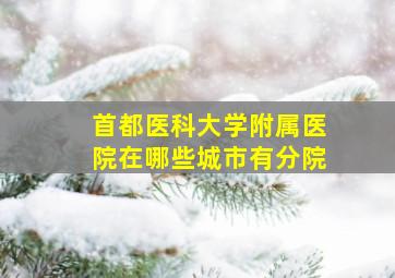 首都医科大学附属医院在哪些城市有分院